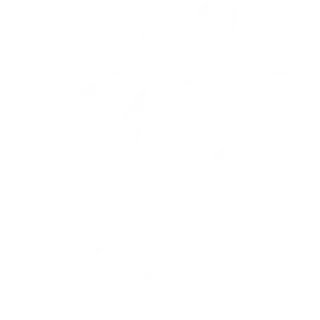 foot