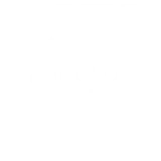 Consultation Online